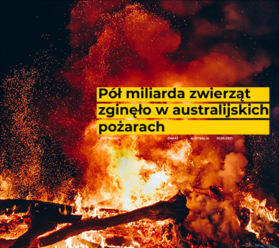 Gdzie zweryfikować fake news, gdy nie jesteśmy pewni jego autentyczności?