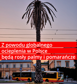 Jak powinno wyglądać bezpieczne korzystanie z mediów społecznościowych, ale też masowych?